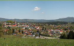 Frühling und Sommer im Bayerischen Wald - beliebter Ferientrend